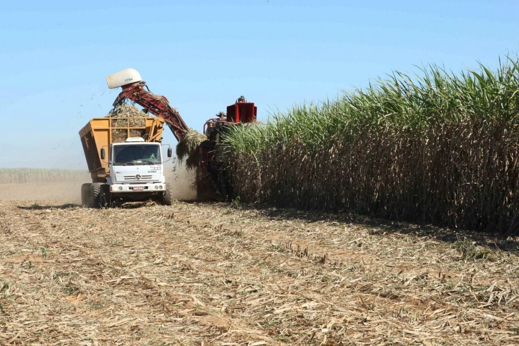 Paraguai exige 50% de etanol de cana nacional na mistura de combustíveis e mira fortalecimento da economia