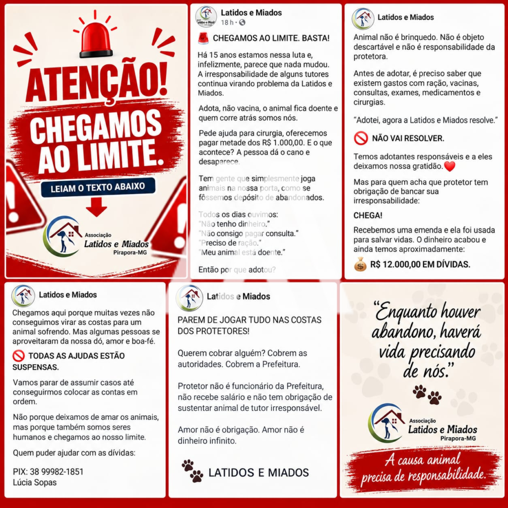 Latidos e Miados suspende novas ajudas após anunciar dívida de aproximadamente R$ 12 mil em Pirapora